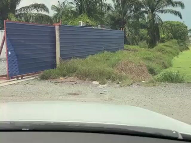 Video Image 1