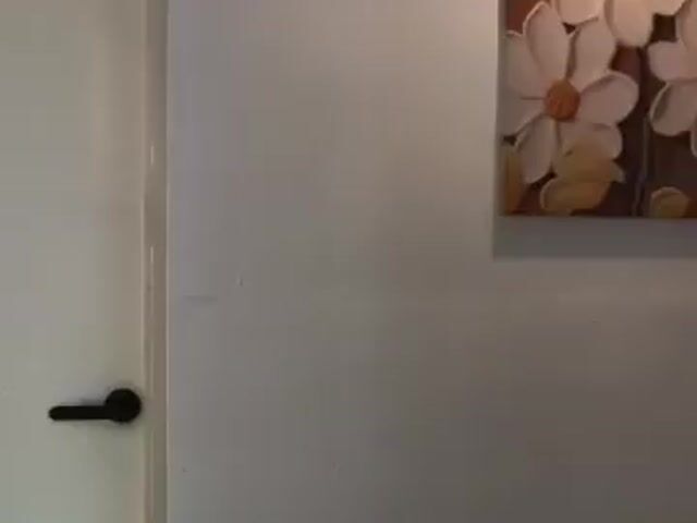 Video Image 1