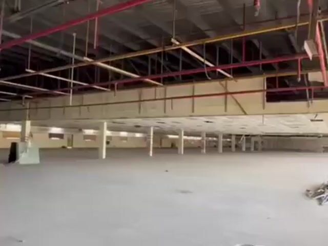Video Image 1