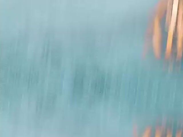 Video Image 1