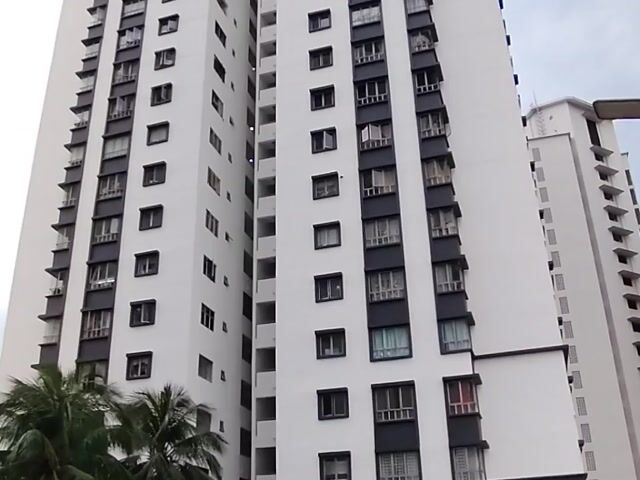 Video Image 1