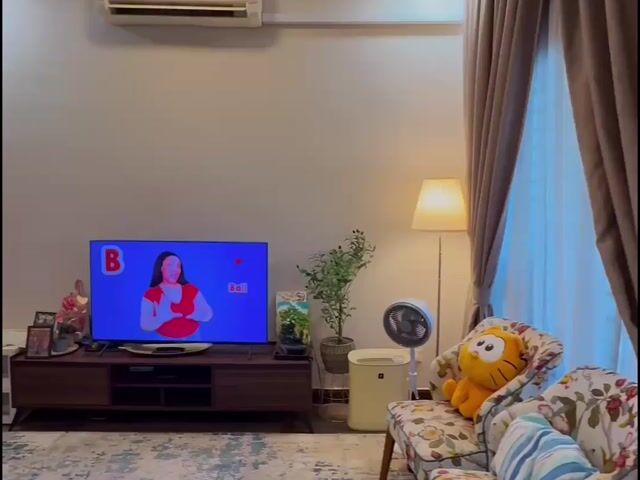 Video Image 1