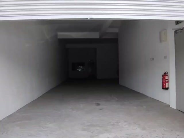 Video Image 1
