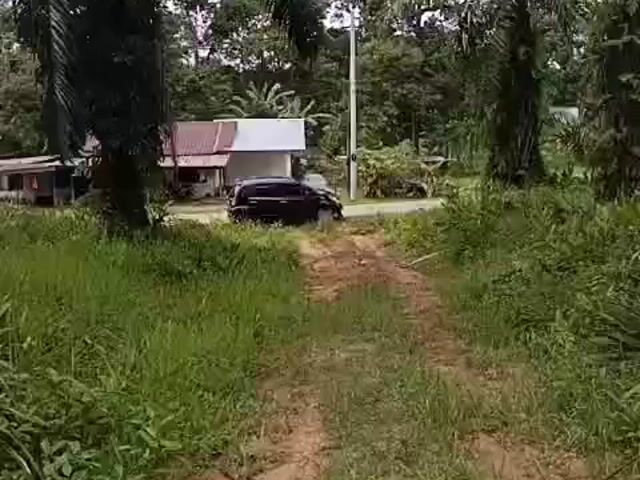 Video Image 1
