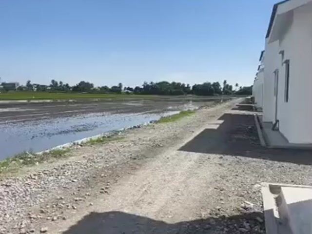 Video Image 1