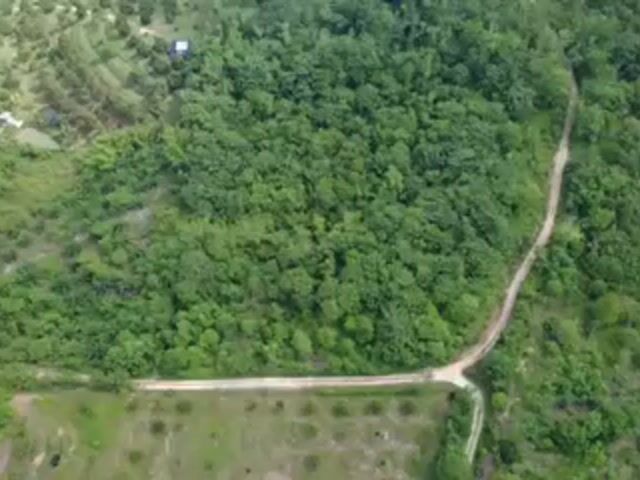 Video Image 1