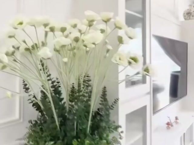 Video Image 1