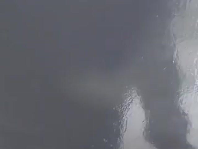 Video Image 1