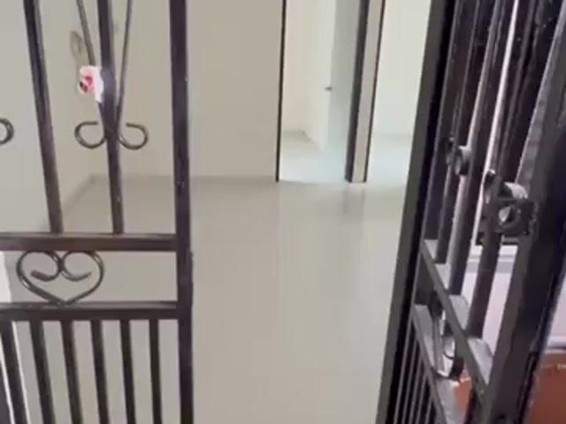 Video Image 1