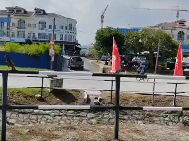 Video Image 1