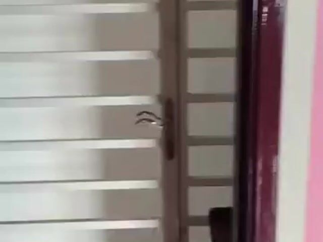 Video Image 1