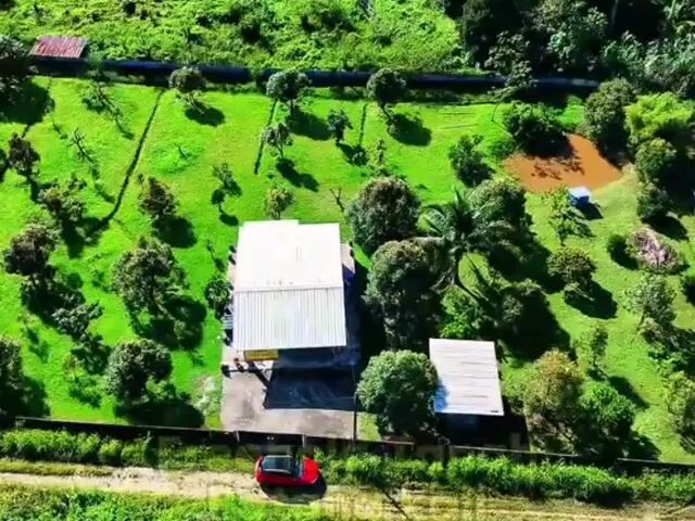 Video Image 1