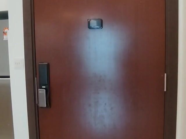 Video Image 1