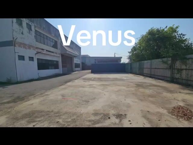 Video Image 1