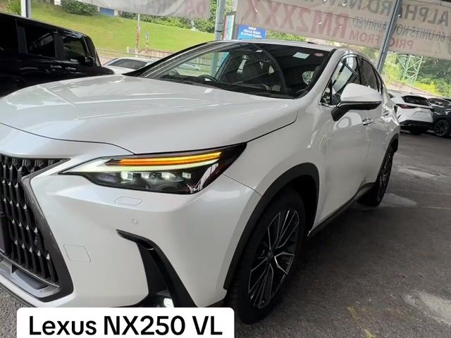 Lexus NX250 2.5 VL 5A 8k KM ROSEBLACK 23 UNREG JPN - 1