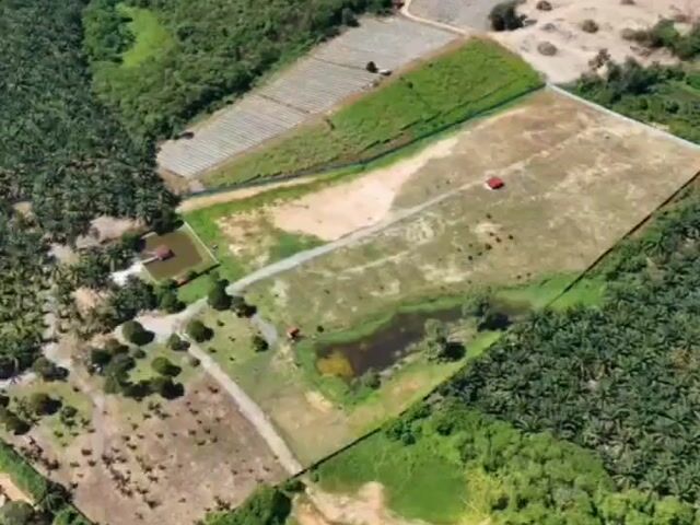 Video Image 1
