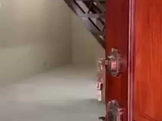 Video Image 1