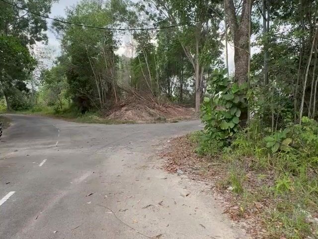 Video Image 1