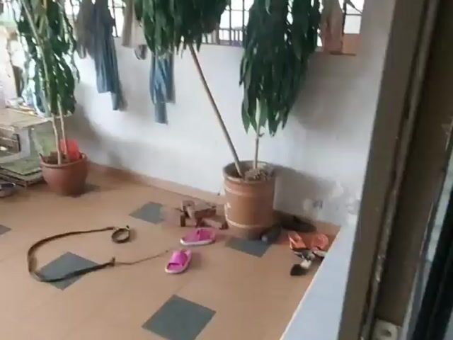 Video Image 1
