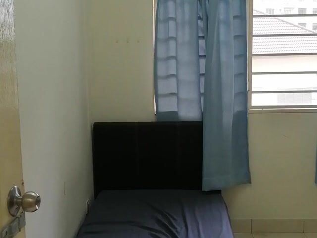 Video Image 1