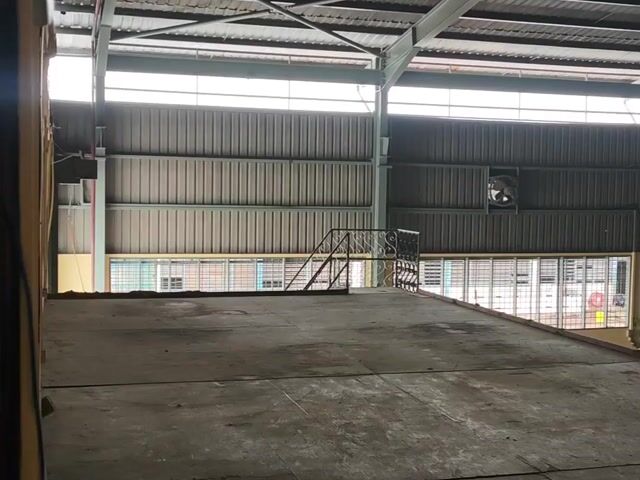 Video Image 1