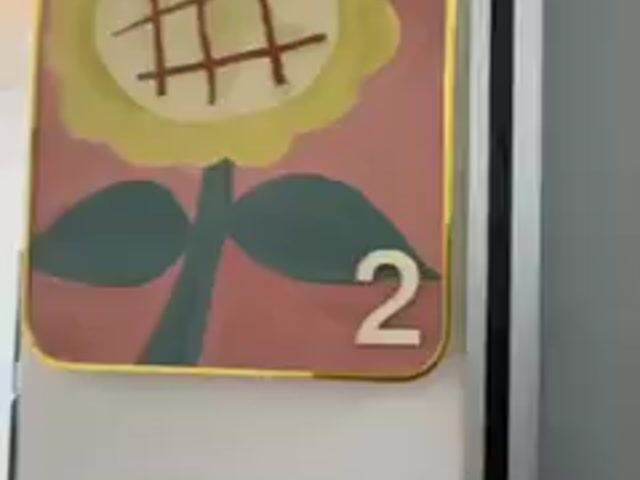 Video Image 1