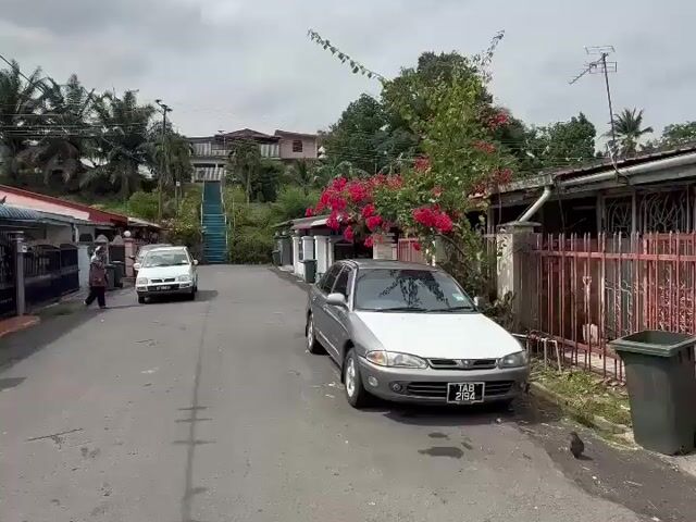 Video Image 1