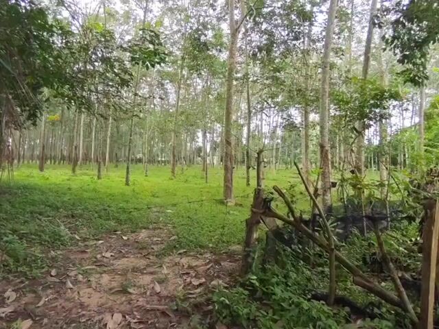Video Image 1