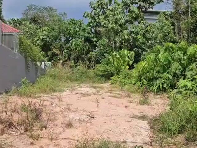 Video Image 1