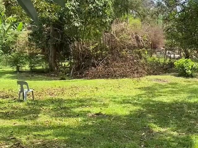 Video Image 1
