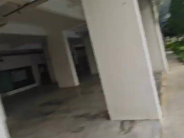 Video Image 1