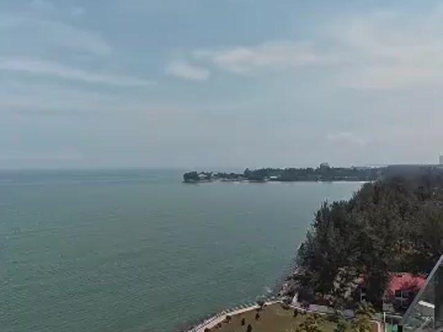 Video Image 1