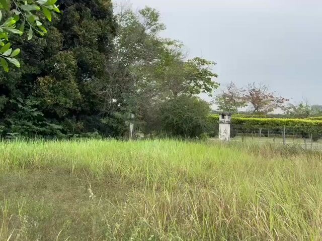 Video Image 1
