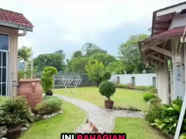 Video Image 1