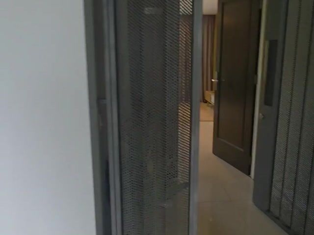 Video Image 1