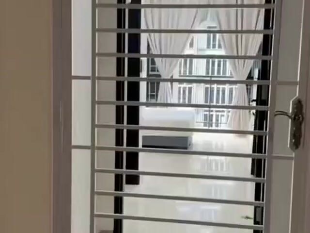 Video Image 1