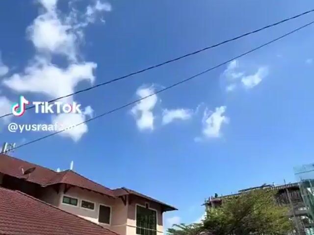 Video Image 1