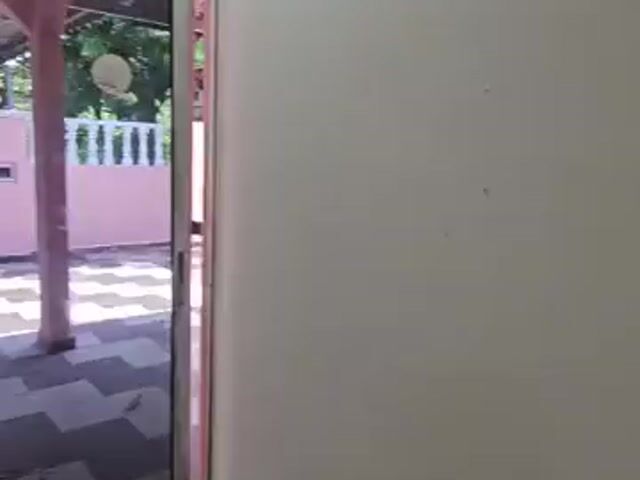 Video Image 1