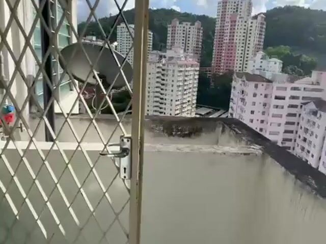 Video Image 1