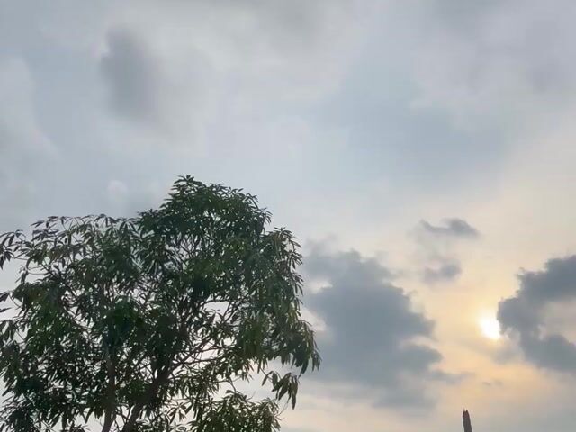 Video Image 1