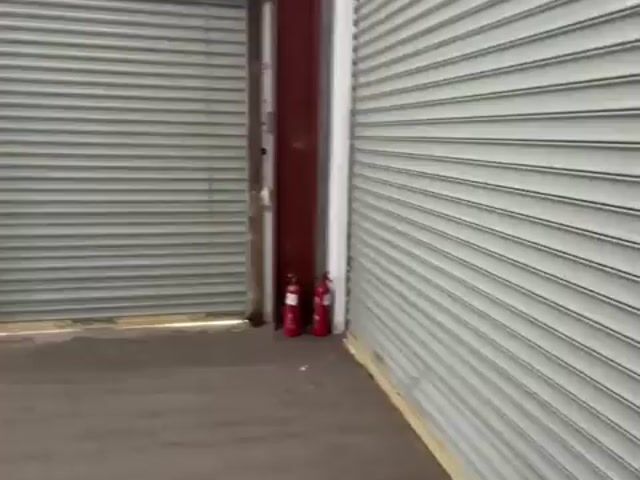 Video Image 1
