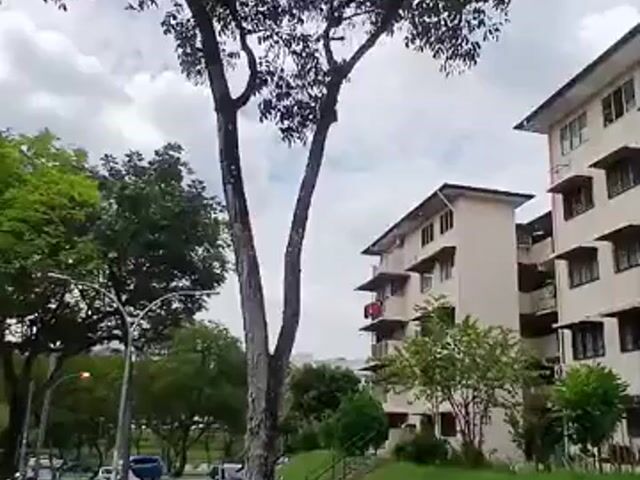 Video Image 1