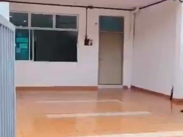 Video Image 1