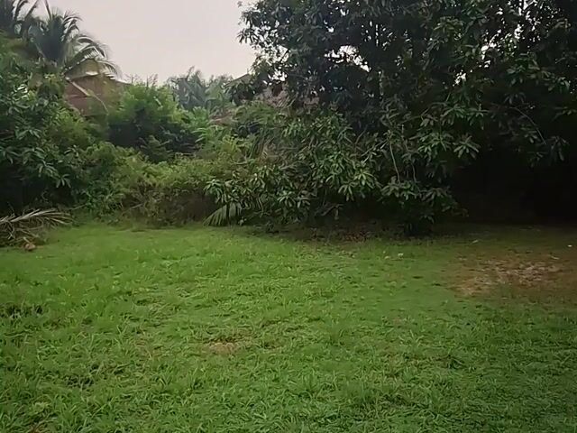 Video Image 1