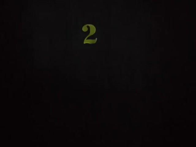 Video Image 1