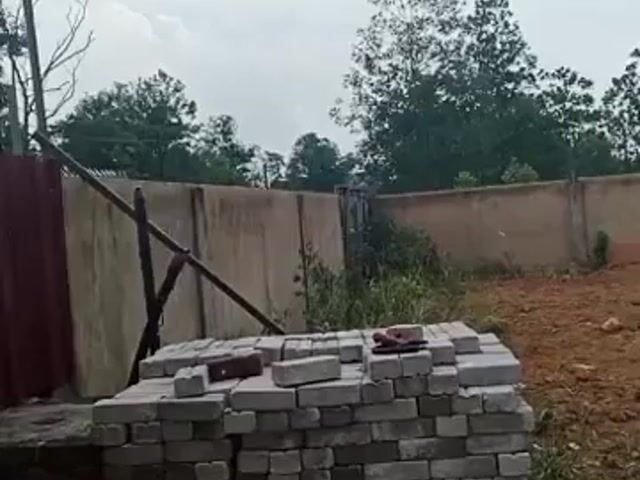 Video Image 1