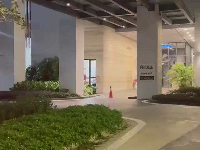 Video Image 1
