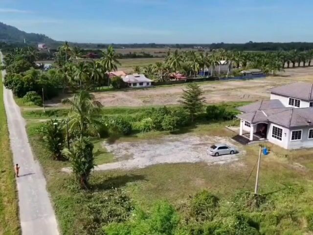 Video Image 1