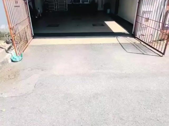 Video Image 1