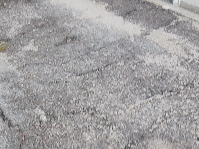 Video Image 1
